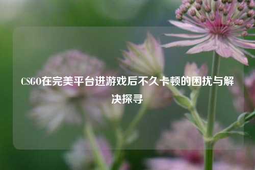 CSGO在完美平台进游戏后不久卡顿的困扰与解决探寻