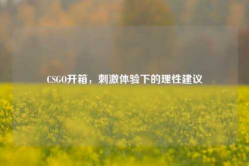 CSGO开箱，刺激体验下的理性建议