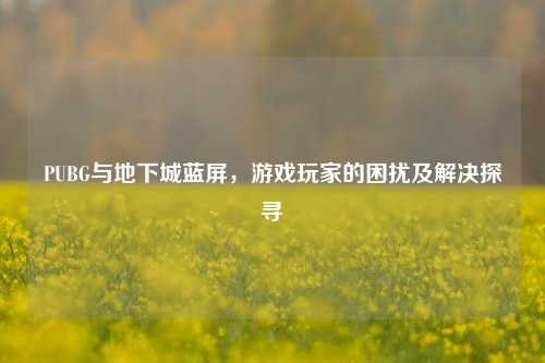 PUBG与地下城蓝屏,游戏玩家的困扰及解决探寻