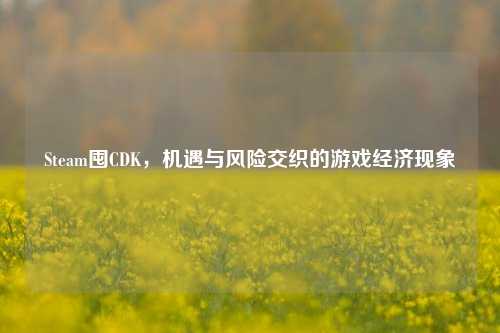 Steam囤CDK，机遇与风险交织的游戏经济现象