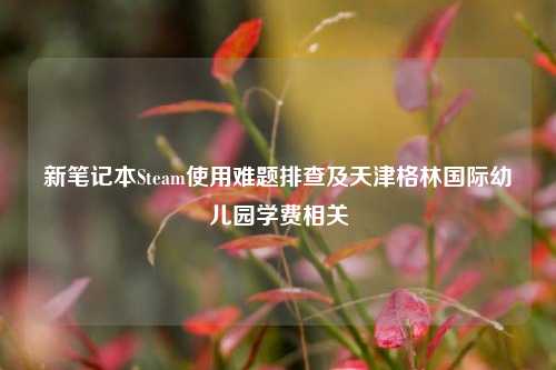 新笔记本Steam使用难题排查及天津格林国际幼儿园学费相关
