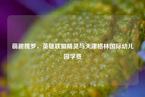 萌趣魄罗，英雄联盟精灵与天津格林国际幼儿园学费