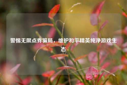 警惕无限点券骗局，维护和平精英纯净游戏生态