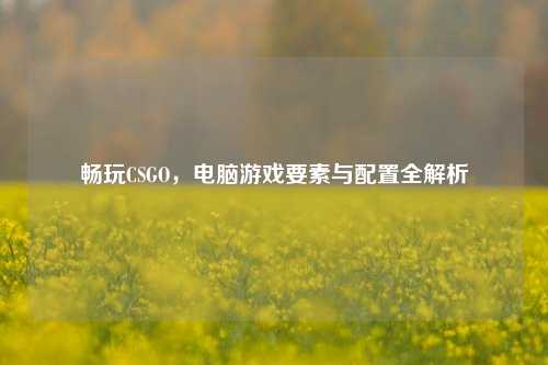 畅玩CSGO，电脑游戏要素与配置全解析