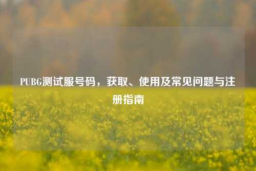 PUBG测试服号码，获取、使用及常见问题与注册指南