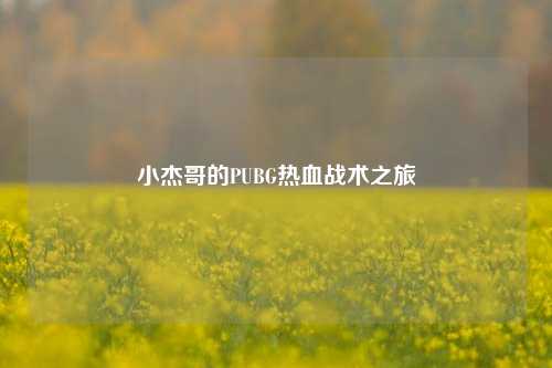 小杰哥的PUBG热血战术之旅
