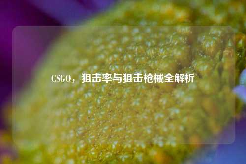 CSGO，狙击率与狙击枪械全解析