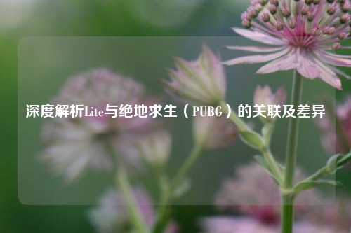 深度解析Lite与绝地求生（PUBG）的关联及差异
