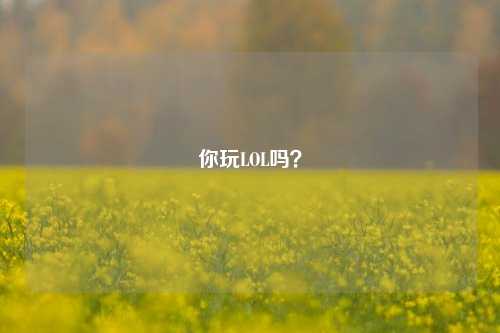 你玩LOL吗？