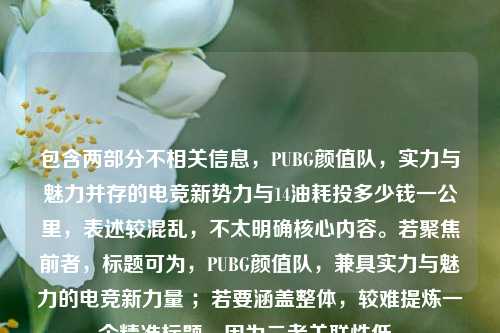包含两部分不相关信息,PUBG颜值队,实力与魅力并存的电竞新势力与14油耗投多少钱一公里,表述较混乱,不太明确核心内容。若聚焦前者,标题可为,PUBG颜值队,兼具实力与魅力的电竞新力量 ;若要涵盖整体,较难提炼一个精准标题,因为二者关联性低。