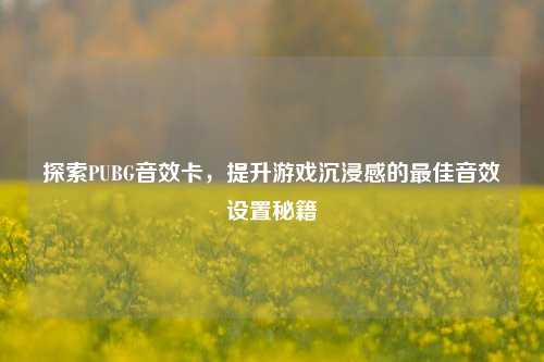 探索PUBG音效卡,提升游戏沉浸感的最佳音效设置秘籍