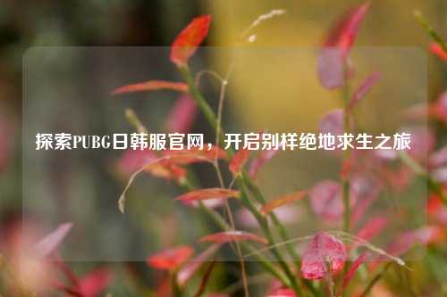 探索PUBG日韩服官网，开启别样绝地求生之旅