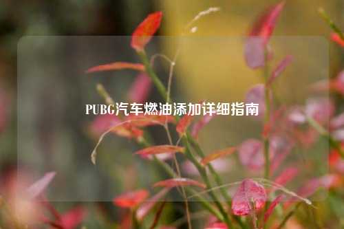 PUBG汽车燃油添加详细指南