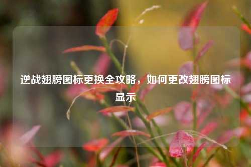 逆战翅膀图标更换全攻略,如何更改翅膀图标显示