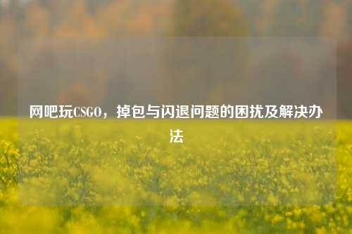 网吧玩CSGO，掉包与闪退问题的困扰及解决办法