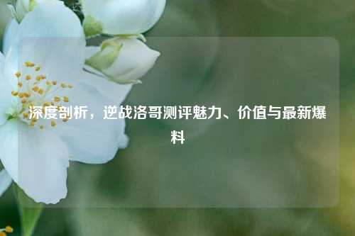 深度剖析,逆战洛哥测评魅力、价值与最新爆料