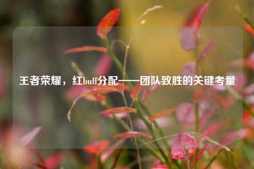 王者荣耀,红buff分配——团队致胜的关键考量