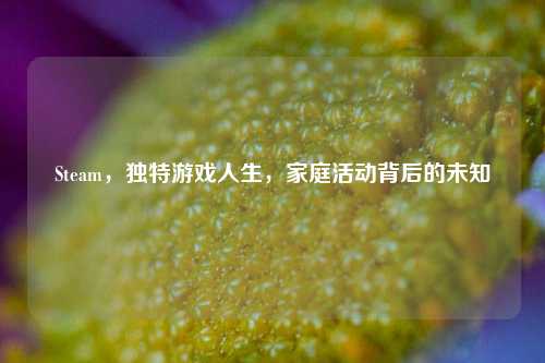 Steam，独特游戏人生，家庭活动背后的未知