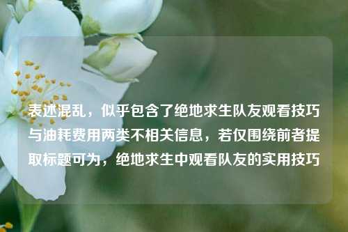 表述混乱,似乎包含了绝地求生队友观看技巧与油耗费用两类不相关信息,若仅围绕前者提取标题可为,绝地求生中观看队友的实用技巧