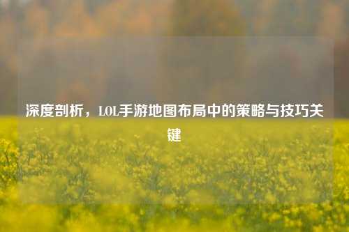 深度剖析,LOL手游地图布局中的策略与技巧关键