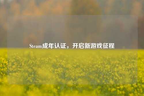Steam成年认证,开启新游戏征程