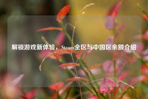 解锁游戏新体验，Steam全区与中国区余额介绍