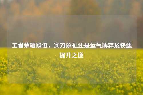 王者荣耀段位,实力象征还是运气博弈及快速提升之道