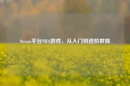Steam平台NBA游戏，从入门到进阶教程