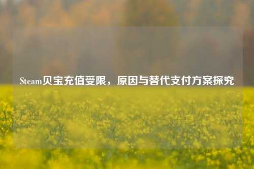 Steam贝宝充值受限,原因与替代支付方案探究