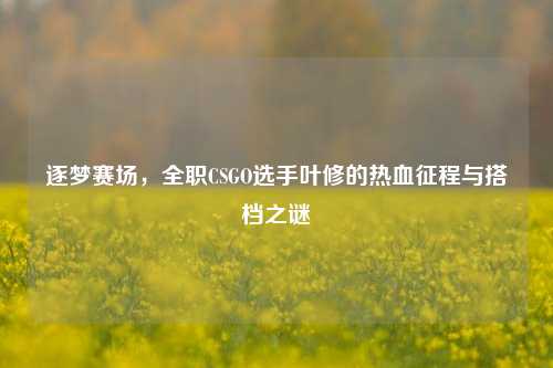 逐梦赛场，全职CSGO选手叶修的热血征程与搭档之谜