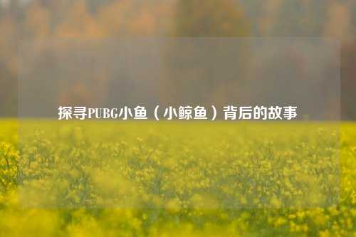 探寻PUBG小鱼（小鲸鱼）背后的故事