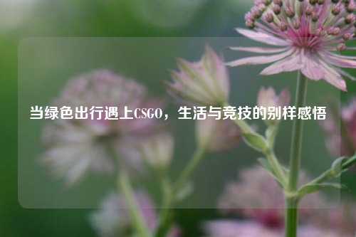 当绿色出行遇上CSGO，生活与竞技的别样感悟