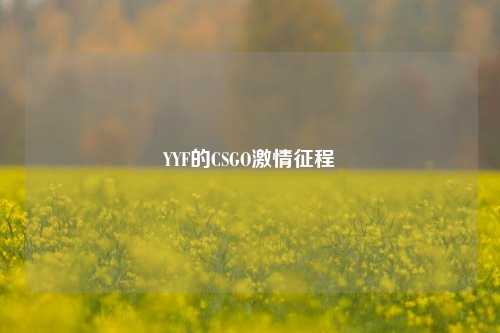 YYF的CSGO激情征程