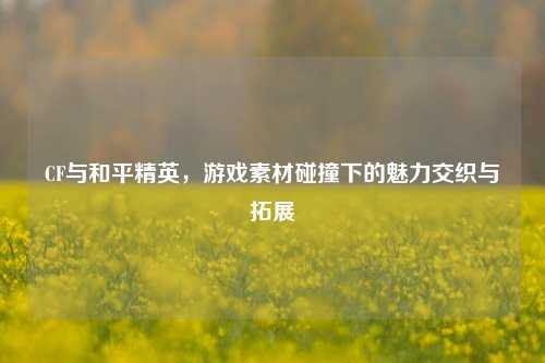 CF与和平精英，游戏素材碰撞下的魅力交织与拓展