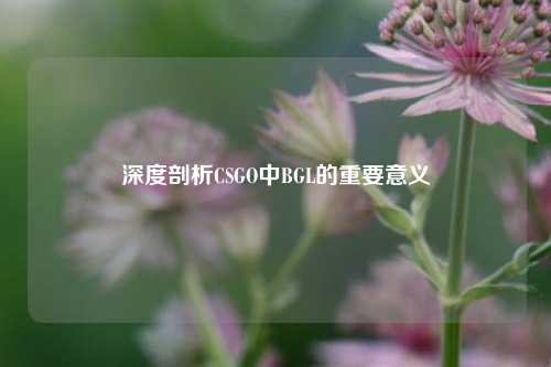 深度剖析CSGO中BGL的重要意义