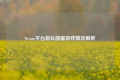Steam平台游玩国服游戏情况解析