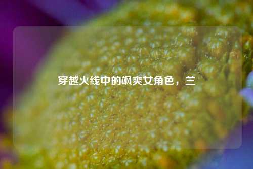 穿越火线中的飒爽女角色，兰