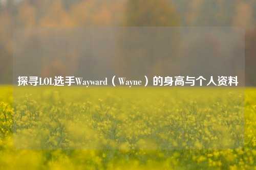 探寻LOL选手Wayward(Wayne)的身高与个人资料