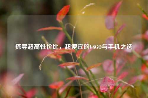 探寻超高性价比，超便宜的CSGO与手机之选