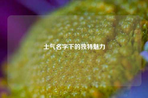 土气名字下的独特魅力