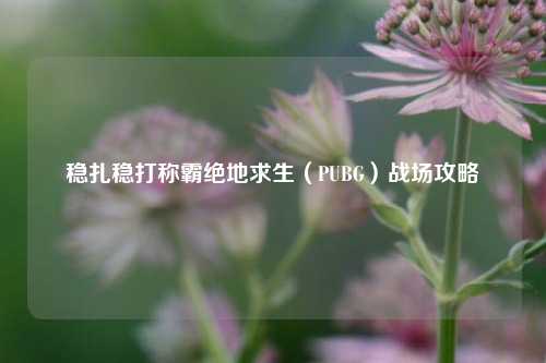 稳扎稳打称霸绝地求生(PUBG)战场攻略