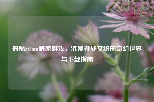 探秘Steam解密游戏，沉浸挑战交织的奇幻世界与下载指南