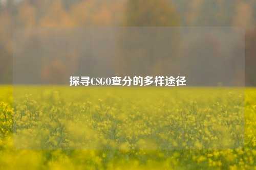 探寻CSGO查分的多样途径