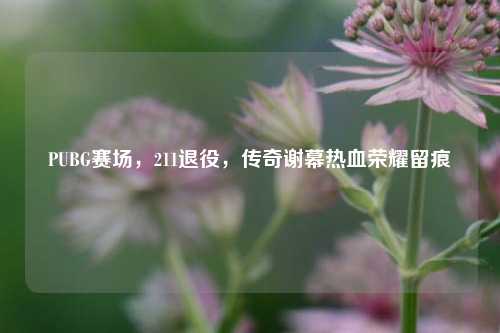 PUBG赛场,211退役,传奇谢幕热血荣耀留痕
