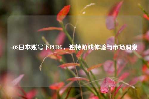 iOS日本账号下PUBG，独特游戏体验与市场洞察