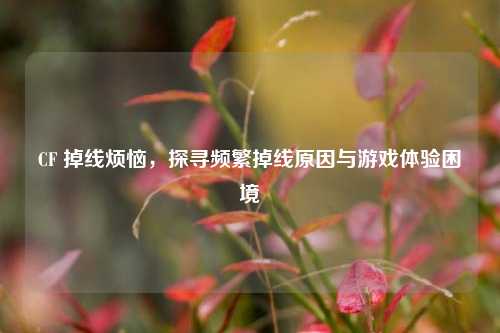 CF 掉线烦恼，探寻频繁掉线原因与游戏体验困境