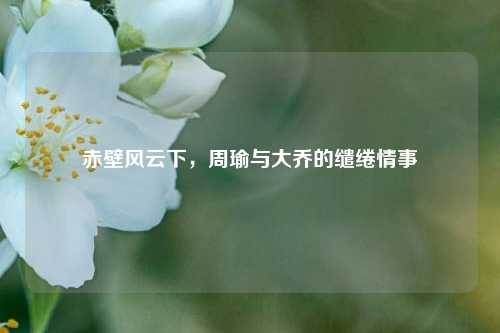 赤壁风云下,周瑜与大乔的缱绻情事