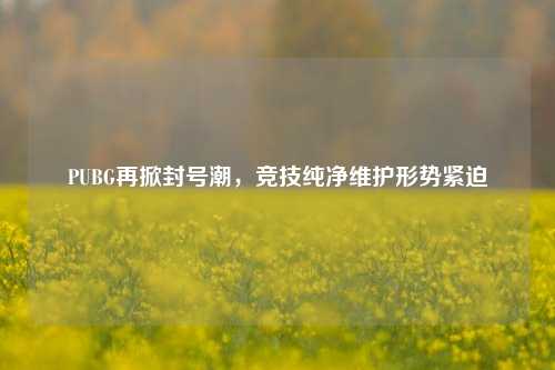 PUBG再掀封号潮,竞技纯净维护形势紧迫
