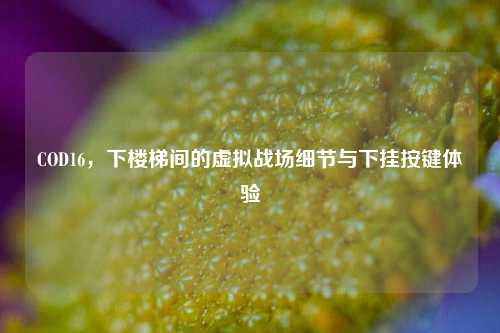 COD16，下楼梯间的虚拟战场细节与下挂按键体验