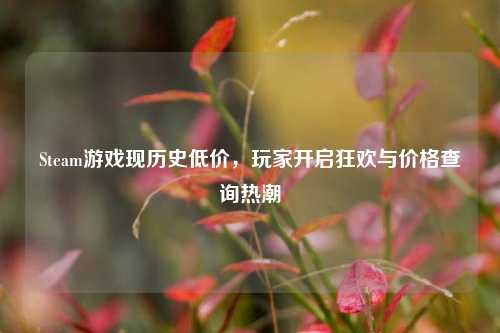 Steam游戏现历史低价，玩家开启狂欢与价格查询热潮